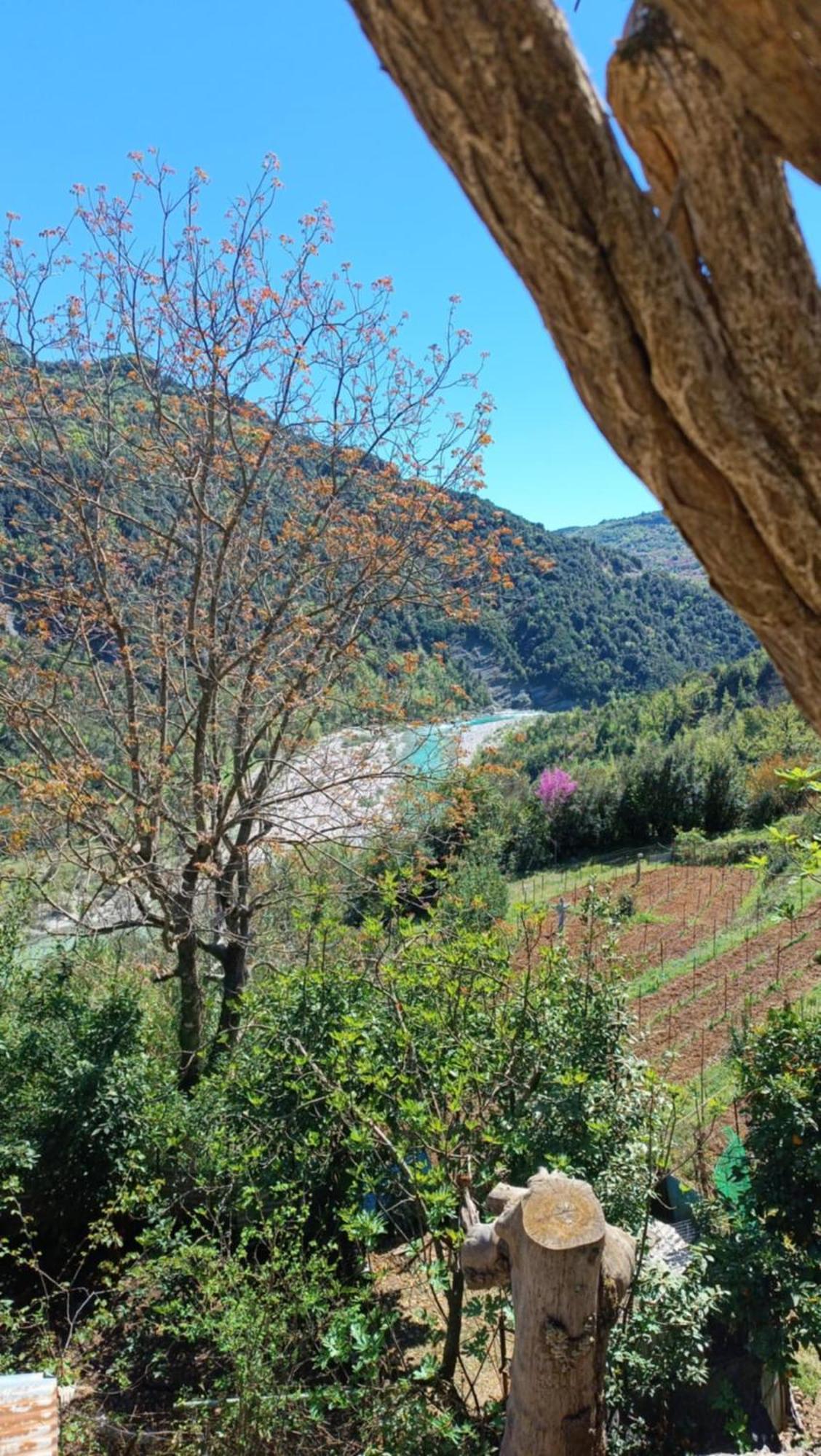 Κτήματα Ευδοξία Βίλα Platanoussa Εξωτερικό φωτογραφία